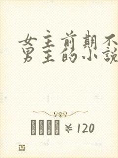 女主前期不喜欢男主的小说