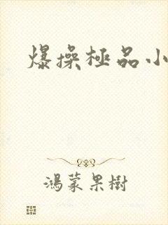 爆操极品小美女