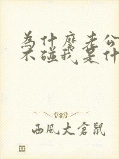 为什么老公一直不碰我是什么原因