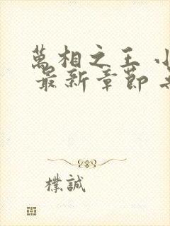 万相之王 小说 最新章节 无弹窗