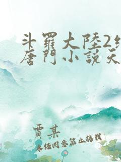 斗罗大陆2绝世唐门小说天域小说