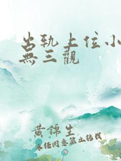 出轨上位小三:无三观