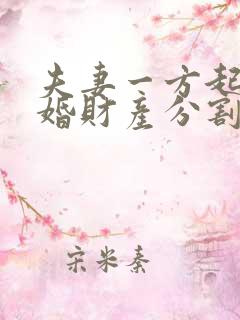 夫妻一方起诉离婚财产分割