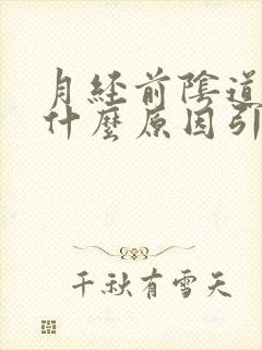 月经前阴道痒是什么原因引起的