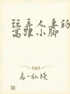 玩弄人妻的丝袜高跟小脚