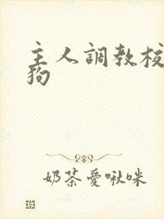 主人调教校花母狗