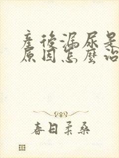 产后漏尿是什么原因怎么治疗