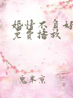 婚情不负好短剧免费播放