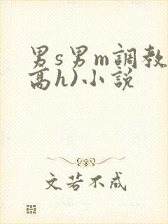 男s男m调教(高h)小说