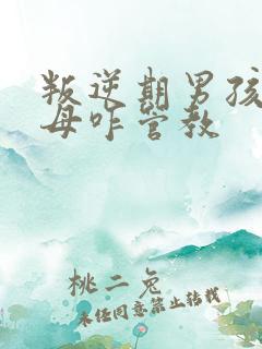 叛逆期男孩子父母咋管教