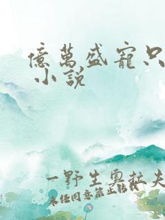 亿万盛宠只为你 小说