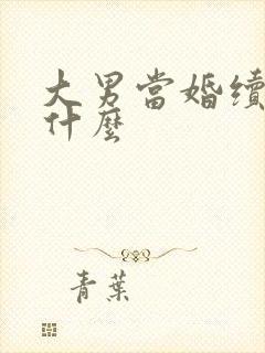 大男当婚续集叫什么