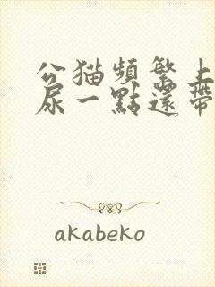 公猫频繁上厕所尿一点还带血