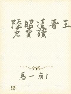 陆昭凌晋王小说免费读