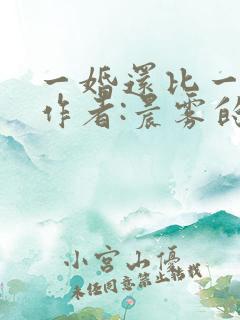 一婚还比一婚高作者:晨雾的光