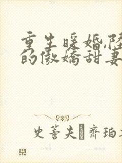 重生暖婚,陆少的傲娇甜妻,