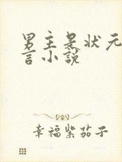 男主是状元的古言小说