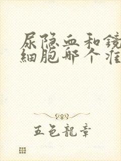 尿隐血和镜检红细胞哪个准