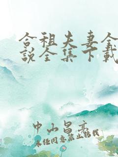 合租夫妻全文小说全集下载