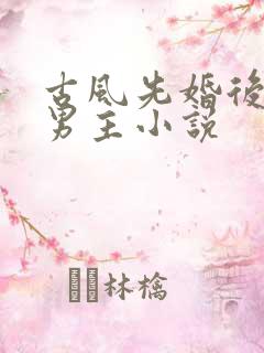 古风先婚后爱双男主小说