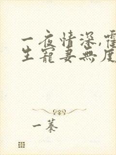 一夜情深,霍先生宠妻无度小说免费看