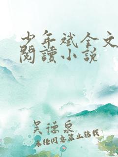 少年斌全文免费阅读小说