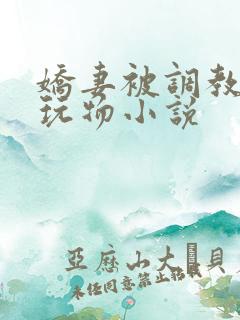 娇妻被调教沦为玩物小说