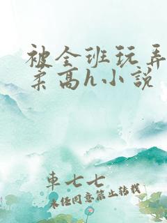 被全班玩弄的小柔高h小说