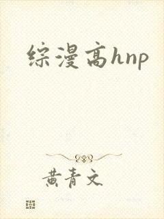 综漫高hnp
