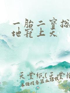 一胎二宝总裁爹地宠上天