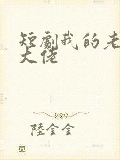 短剧我的老公是大佬