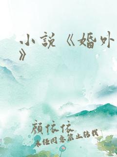 小说《婚外有喜》