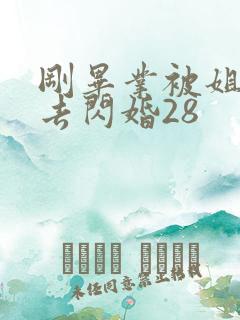 刚毕业被姐姐拉去闪婚28