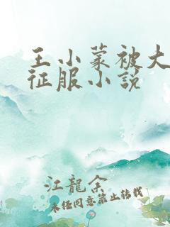 王小蒙被大肉楱征服小说