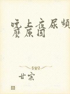 晚上夜尿频繁什么原因