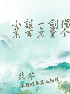 小说一剑独尊·叶玄免费全文阅读一