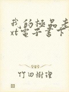 我的极品老婆txt电子书下载