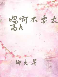 嗯啊不要太大了高h