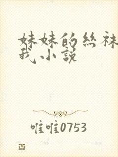 妹妹的丝袜调教我小说