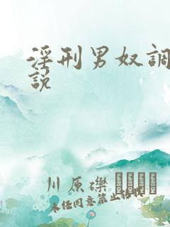 淫刑男奴调教小说