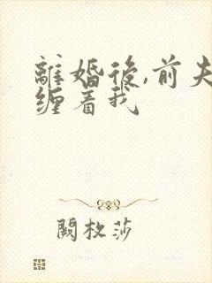 离婚后,前夫老缠着我