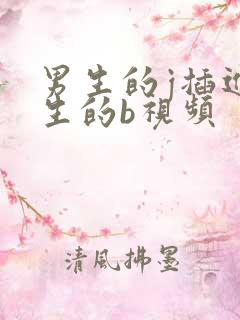 男生的j插进女生的b视频