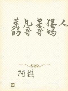 叶凡是狠人大帝的哥哥吗