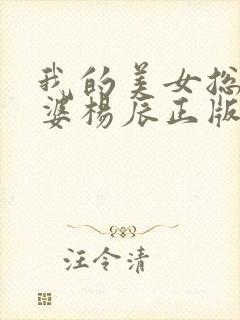 我的美女总裁老婆杨辰正版