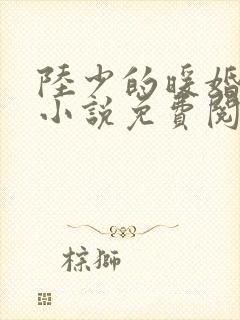 陆少的暖婚新妻小说免费阅读