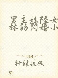 男主姓陆女主姓林的闪婚小说