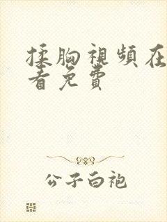 揉胸视频在线观看免费