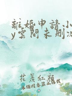 离婚申请小说by云间未删减txt