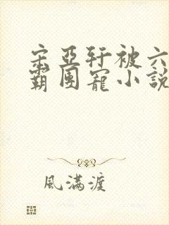 宋亚轩被六个校霸团宠小说