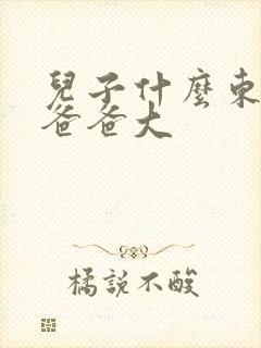 儿子什么东西比爸爸大